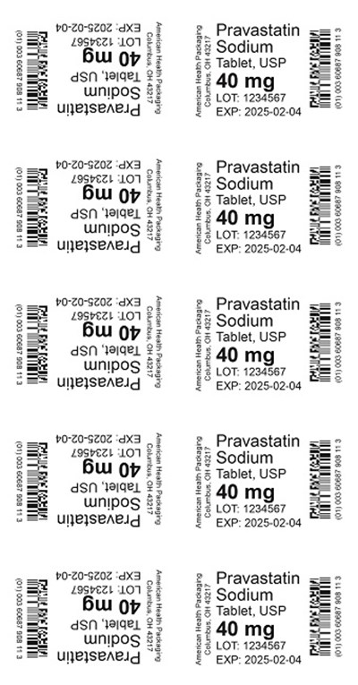 40 mg Pravastatin Sodium Tablet Blister.jpg - 40 mg Pravastatin Sodium Tablet Blister